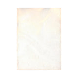 Stola donna con logo