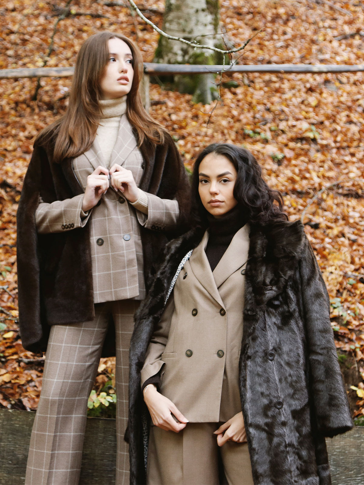 Immagine diapositiva